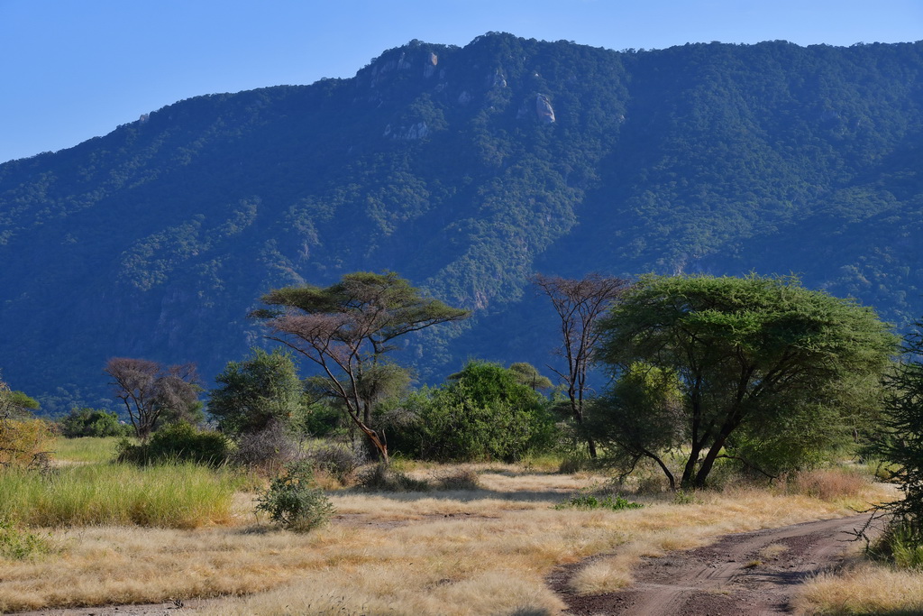 Lake Manyara NP